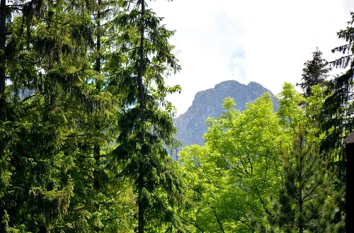 Vista sulle montagne dal rifugio
